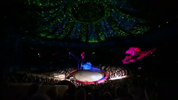 Występ aerialists na arenie hali Circus — Wideo stockowe