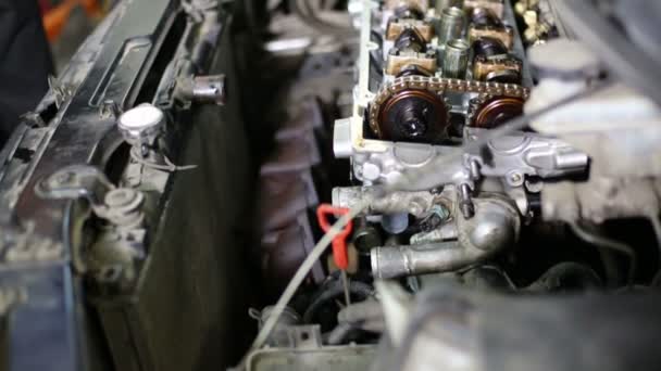 Auto-mechanic repairing modern car engine — Stock Video