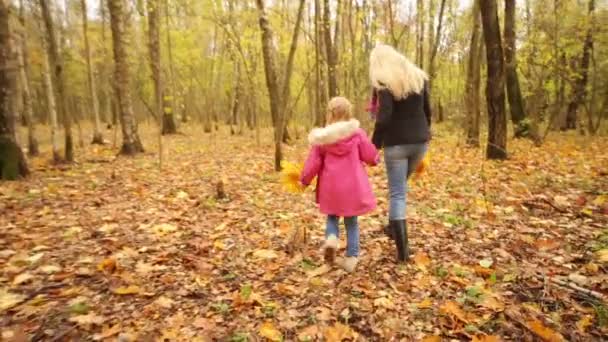 Pequena filha e mãe na floresta de outono — Vídeo de Stock