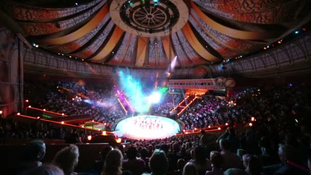 Grupo de gimnastas realiza en la arena del Circo — Vídeos de Stock