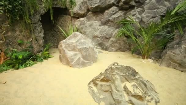 Много камней и камней на пляже — стоковое видео