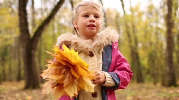 Little girl holds maple leaves — Stock Video