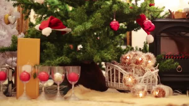 Brennholz neben dem Weihnachtsbaum — Stockvideo