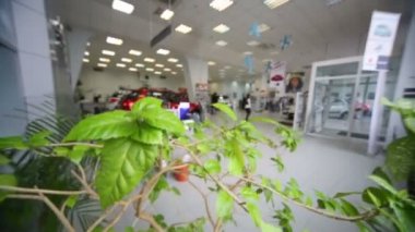 Ofiste yeşil bitki ile bulanık salon