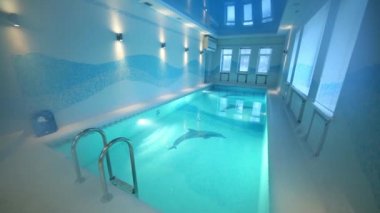 Yunuslar görüntüleri ile kapalı havuzu