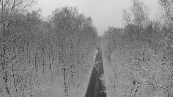 Strada vuota tra alberi ghiacciati — Video Stock