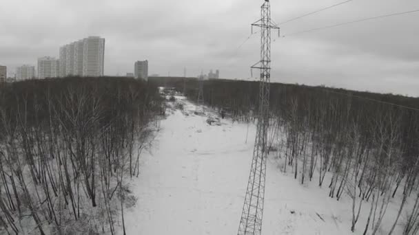 Ligne électrique le long de la clairière dans le parc — Video