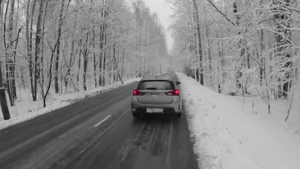 Car drives by road among trees — Stock Video