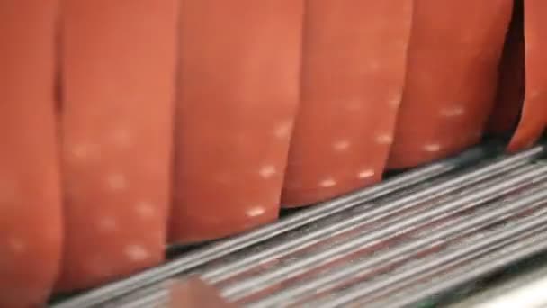 Moving metal conveyor and rubber curtains — Stock Video