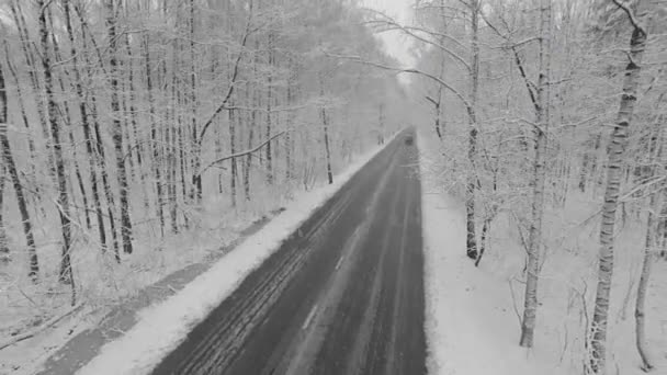 Car ride away by road in forest — Stock Video