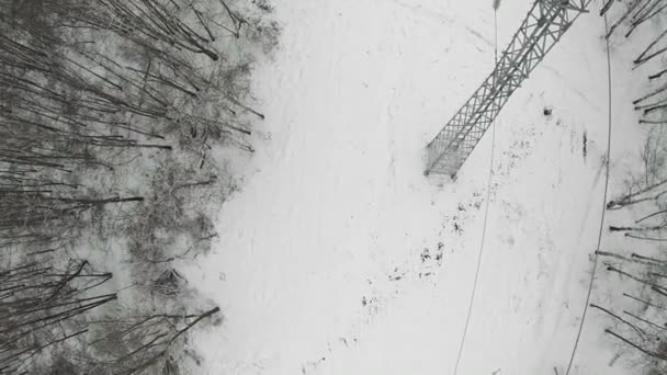 Stromleitungen im Winterpark — Stockvideo