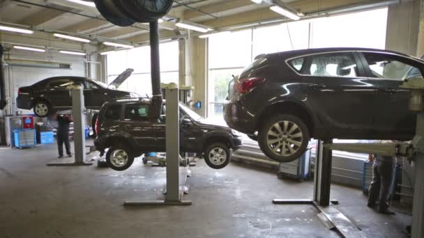Black car lifted on hoist at workshop — Stock Video