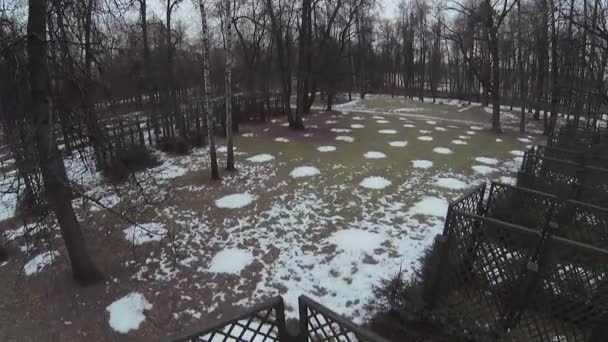 Sections de clôture parmi les arbres dans le parc — Video