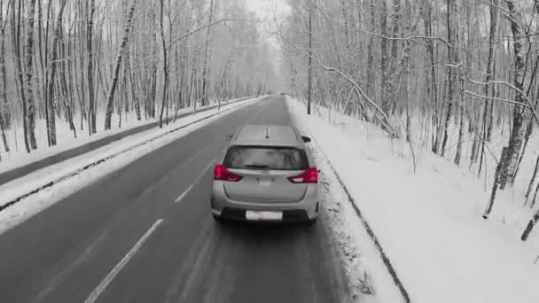 Automobile drives by road among trees — Stock Video