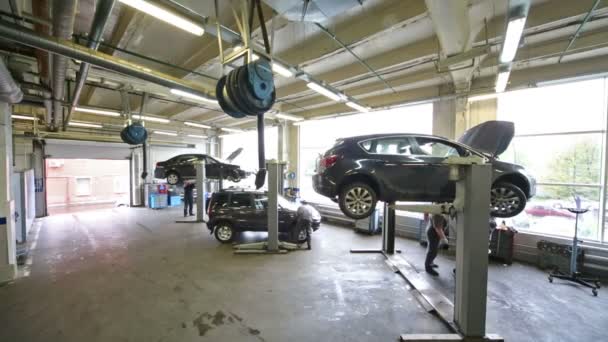 Mechanics repairs cars at lifts in workshop — Stock Video