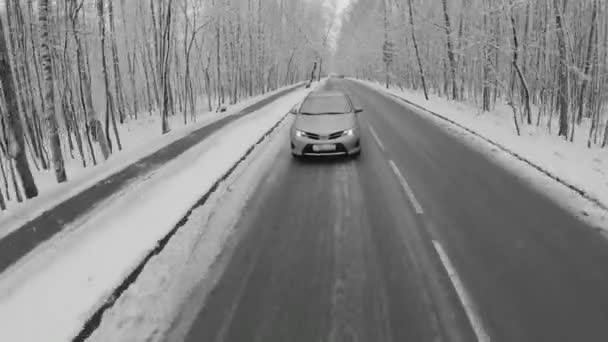 Auto jezdí po silnici mezi stromy — Stock video