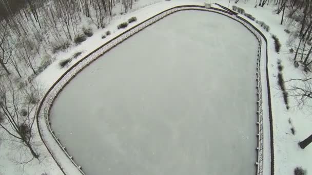 Μικρή παγωμένη λίμνη στο χιονισμένο πάρκο — Αρχείο Βίντεο