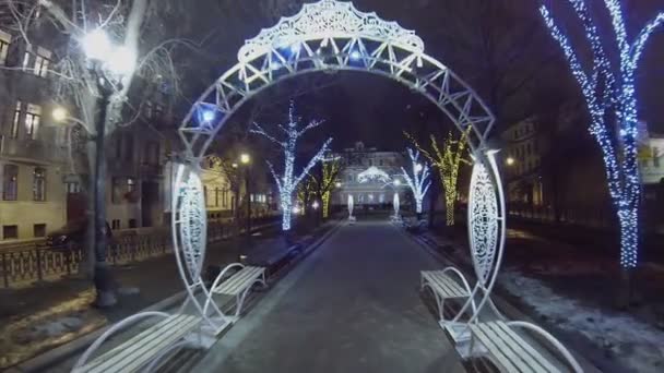 Portas e árvores iluminadas com guirlandas — Vídeo de Stock