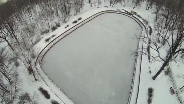 Small frozen pond in empty park — Stock Video