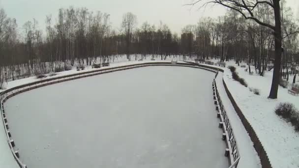 雪の降る公園で小さな氷池 — ストック動画