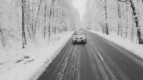 Samochody jeździć drogą wśród drzew — Wideo stockowe