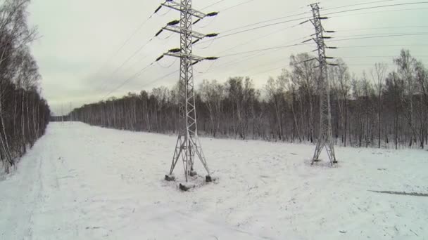 Lignes électriques entre les arbres dans le parc d'hiver — Video