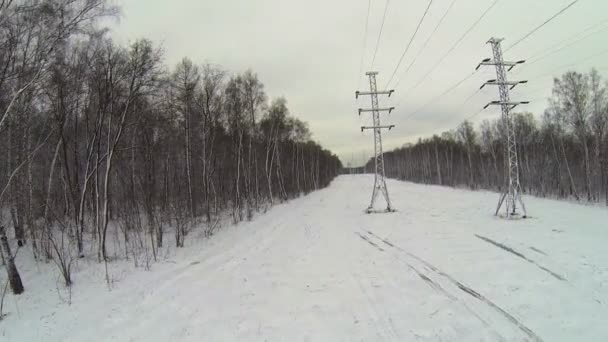 Linee elettriche tra gli alberi nel parco — Video Stock