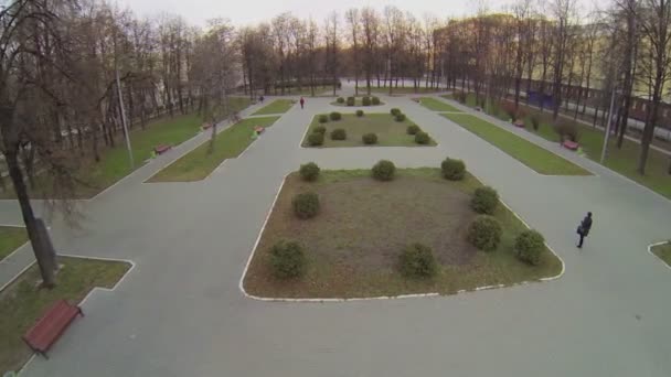 Weinig mensen lopen door park met struiken — Stockvideo