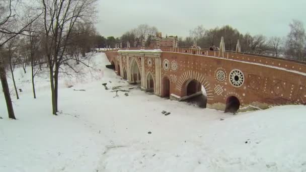 Brug over ravijn in de buurt van Catharinapaleis — Stockvideo