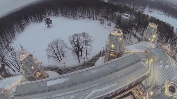 Catherine palace with illumination in Tsaritsyno — Stock Video