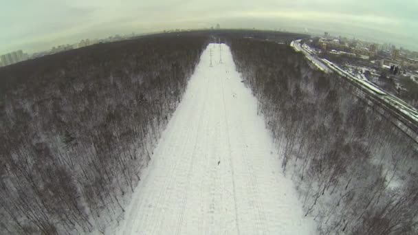 Linee elettriche lungo la fascia nel parco invernale — Video Stock