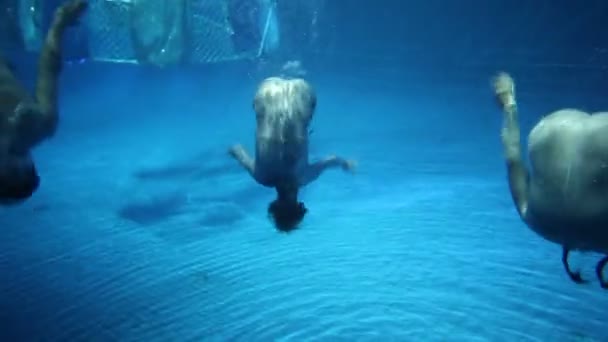Actors dive into water and show synchronized — Stock Video