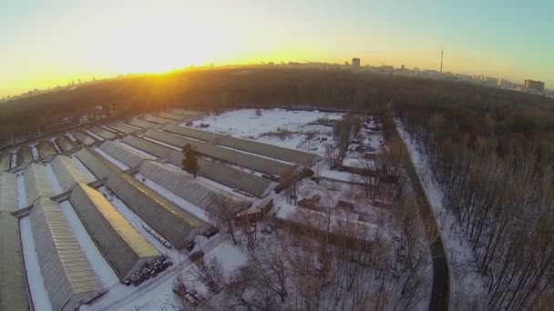 Ferme avec de longs hothouses près de la forêt — Video