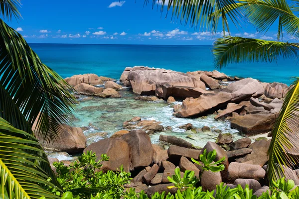 Praia isolada em Seychelles — Fotografia de Stock