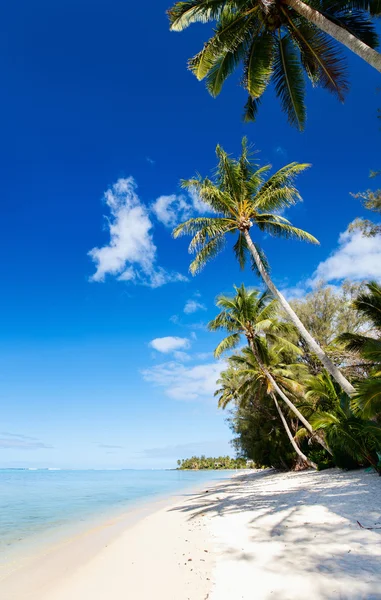 Vackra tropiska stranden vid exotisk ö i södra Stilla havet — Stockfoto