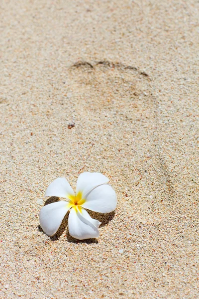 在白色的沙滩上的足迹 — 图库照片