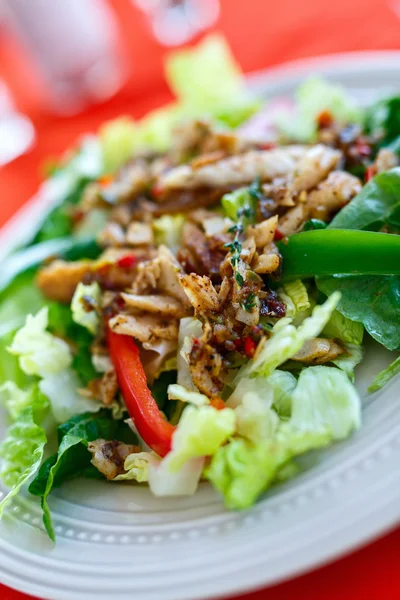 Almuerzo de ensalada de atún —  Fotos de Stock