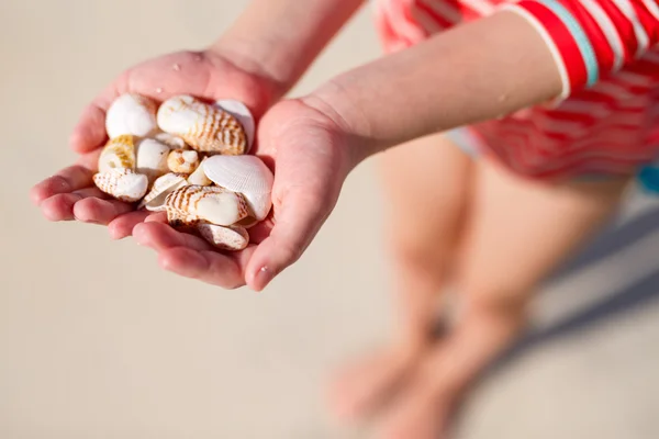 Mädchen hält Muscheln in der Hand — Stockfoto