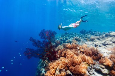 Kadın Reef dalış