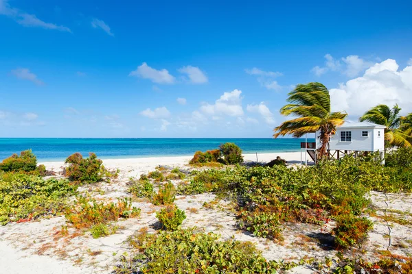 Idyllischer strand an der karibik — Stockfoto