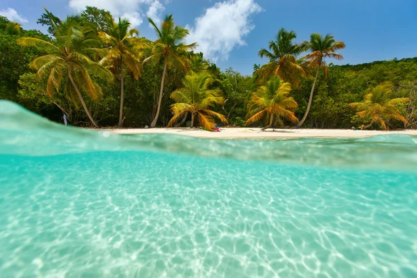 Karayip güzel tropikal plaj — Stok fotoğraf