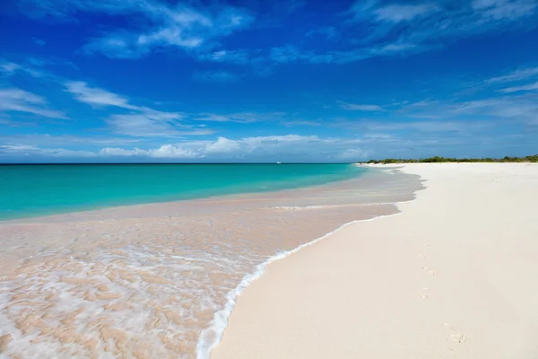 핑크 모래 해변 — 스톡 사진