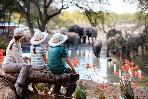 Rodinné safari v Africe — Stock fotografie
