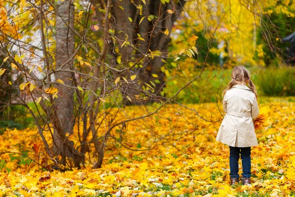 Bambina all'aperto il giorno d'autunno — Foto Stock