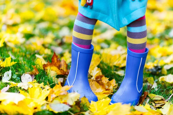 Kleurrijke herfst close-up — Stockfoto