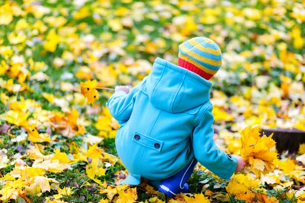 Liten flicka utomhus på höstdag — Stockfoto