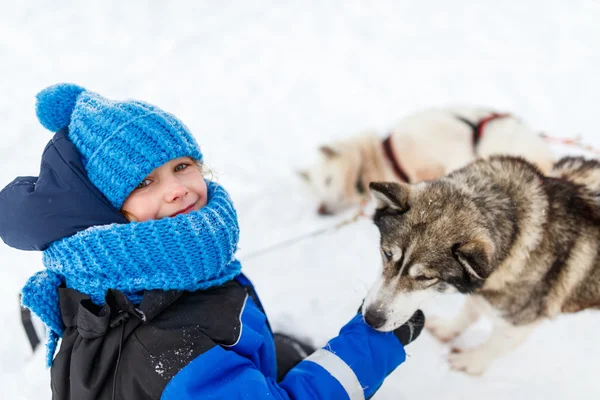 Bambina con cane husky — Foto Stock