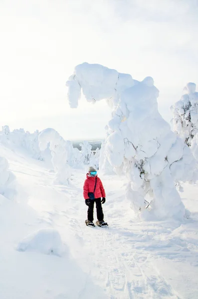Leuke Pre Tiener Meisje Wandelen Sneeuwschoenen Winter Bos Tussen Besneeuwde — Stockfoto