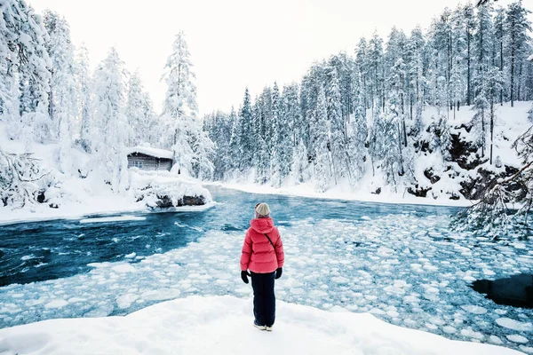 Laponya Finlandiya Daki Oulanka Ulusal Parkı Nda Nefes Kesici Kış — Stok fotoğraf