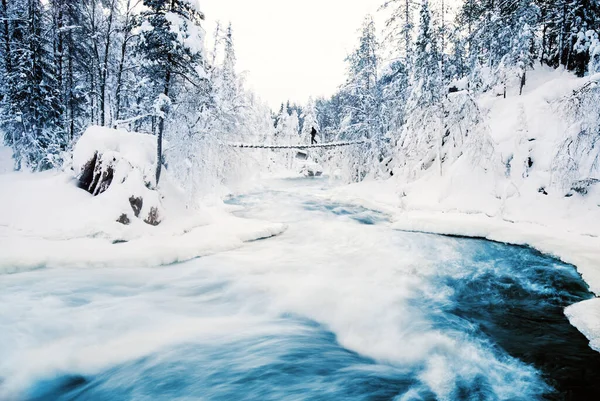 Superbe Paysage Pont Suspendu Sur Rivière Dans Forêt Enneigée Parc — Photo